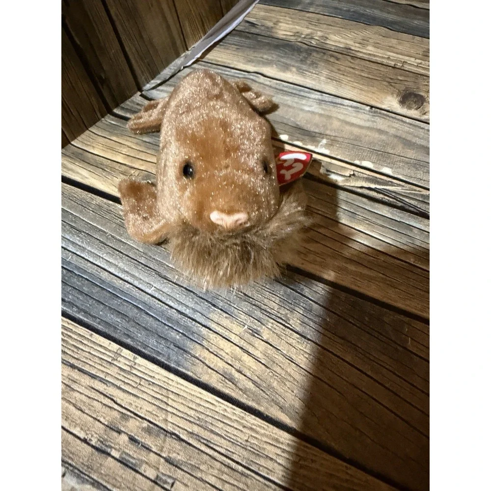Ty Beanie Baby - ''Paul'' the Walrus 1999 - Mint Condition with‎ Tags
